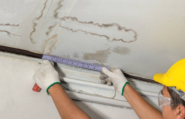 Reliable Mold Remediation contractor in Agate, CO by Water Damage Irwin